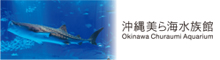 美ら海水族館